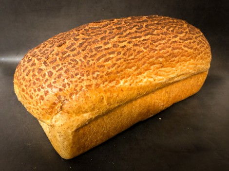 Tijger bruin