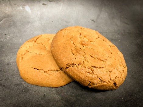 Bitterkoek