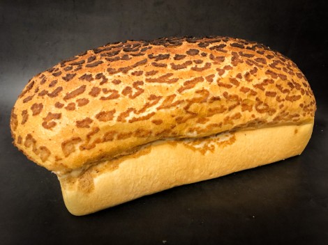 Tijger wit
